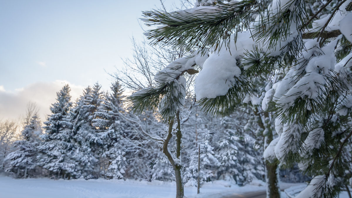 Winterwunderland - Winterurlaub im Erzgebirge