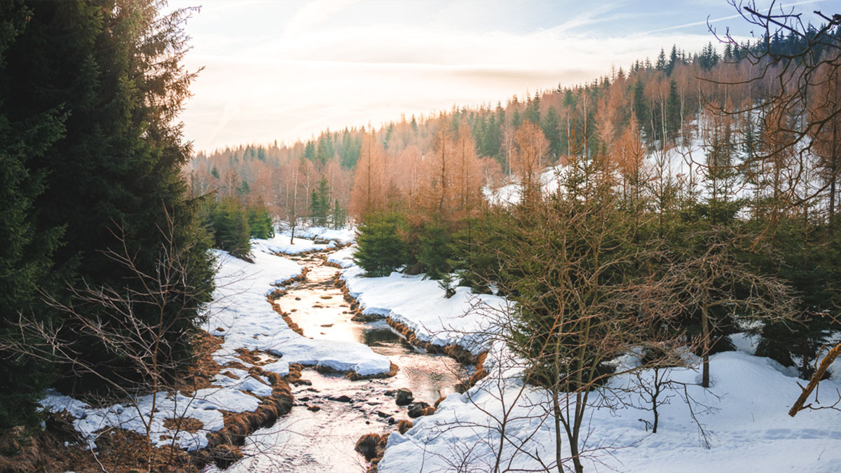 Winterliche Landschaft während eine Winterwanderung durchs Erzgebirge