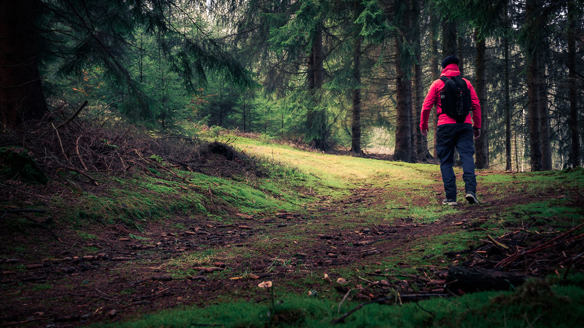 Wir haben 3 schöne Wanderrouten für Sie beschildert - direkt ab Hotel