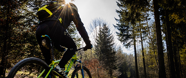Mountainbike im Erzgebirge